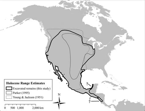 Mapping the expansion of coyotes (Canis latrans) across North and ...