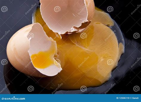 Raw egg stock photo. Image of nature, cooking, food, macro - 12506110