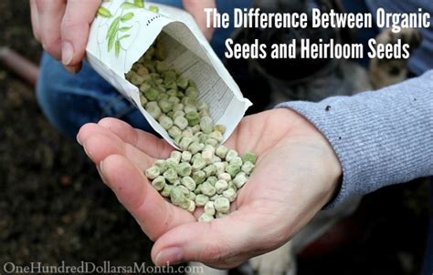 The Difference Between Organic Seeds and Heirloom Seeds - One Hundred ...