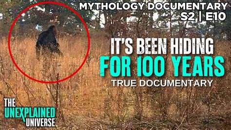 Australia's Bigfoot Finally Spotted | Yowie Documentary | Mythology ...