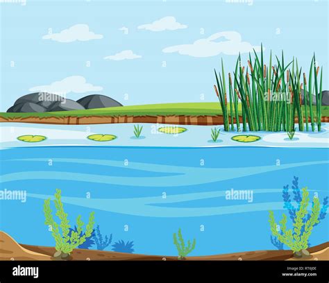 A water lake scene illustration Stock Vector Image & Art - Alamy