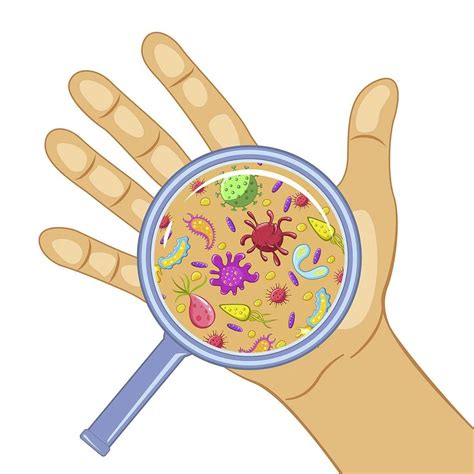 Stop Germs | The Family Doctors