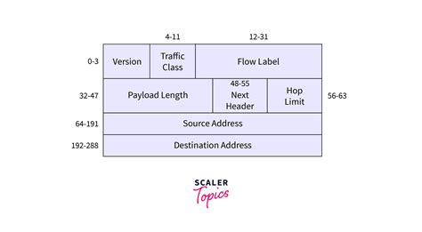 Internet Protocol Version 6 Header Format - Scaler Blog