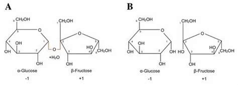 Maltase Enzyme Powder, Packaging Type: Hdpe Drum, Packaging Size: 10 To ...