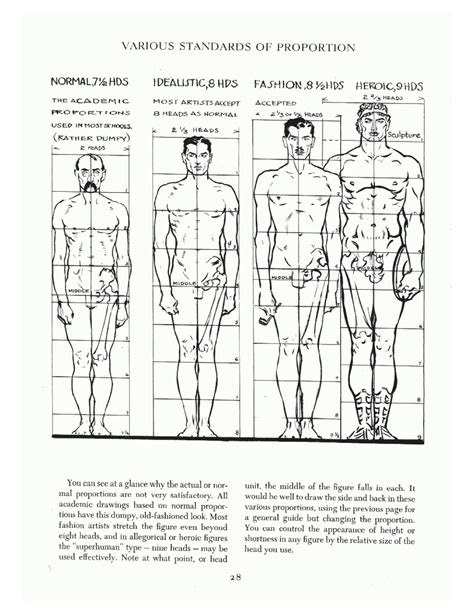 Andrew Loomis Anatomy Books