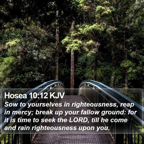 Hosea 10:12 KJV Bible Verse Images