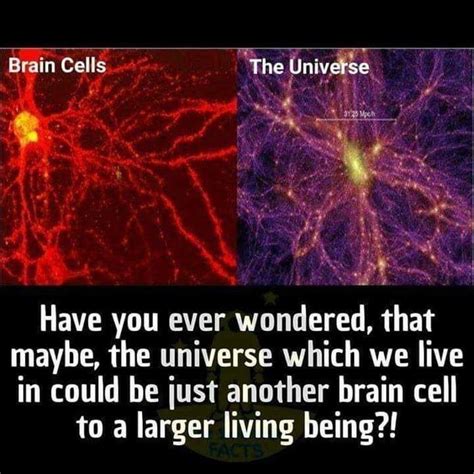 Theories of multiverse in 2020 | Theories about the universe, Quantum ...