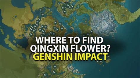 Genshin Impact Qingxin Farming Guide: Flower Locations Guide