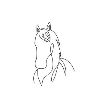 Top more than 148 horse art drawing latest - seven.edu.vn