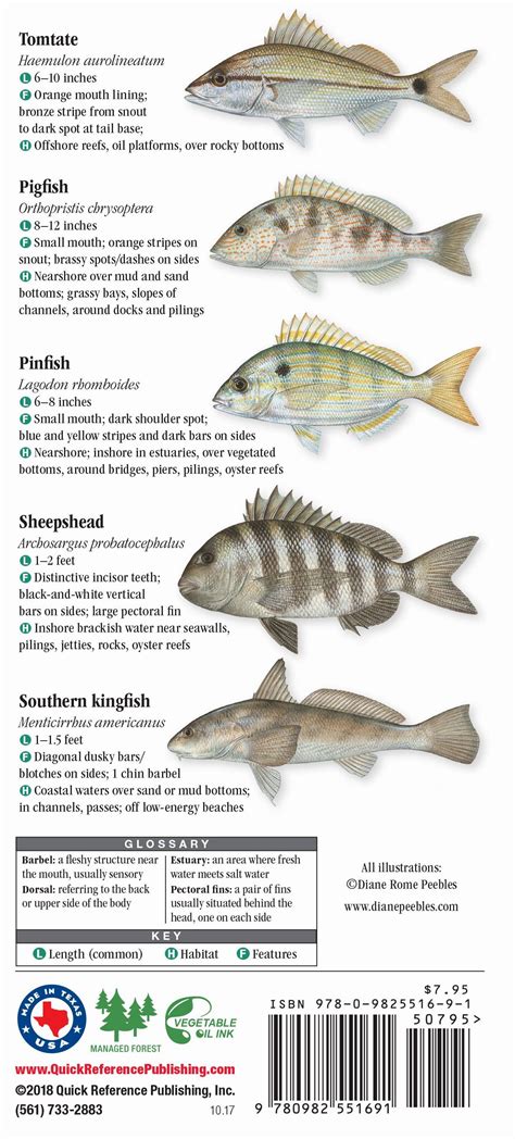 Saltwater Fish Species Identification Chart