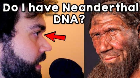 Do We Have Neanderthal DNA in US? Top Neanderthal Traits in HUMANS ...