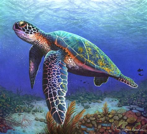 Turtle Study , an art print by Morgan Davidson | Turtle drawing, Color ...