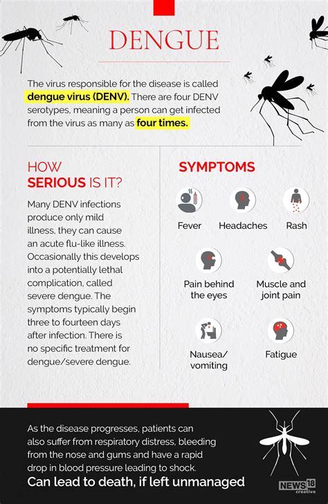 Dengue Cases Surge In India — A Look At Symptoms, Treatment, Prevention ...