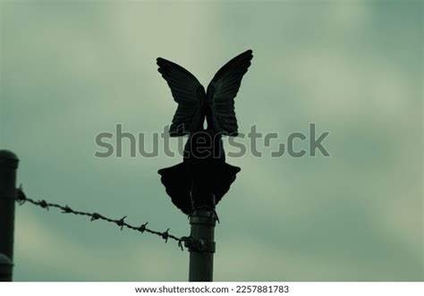 59 One Line Flying Bird Design Stock Photos, Images & Photography ...