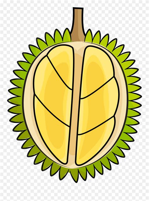 Durian Clipart - Png Download (#5459011) - PinClipart