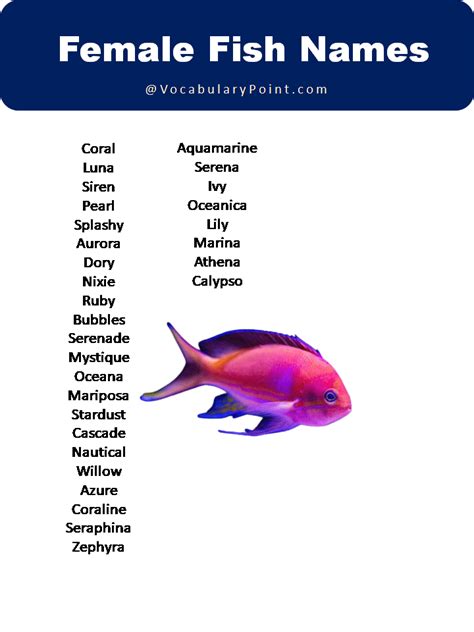 Best Fish Name Ideas (Sea and American Fish Names) - Vocabulary Point