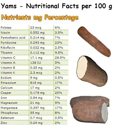 african yam nutrition