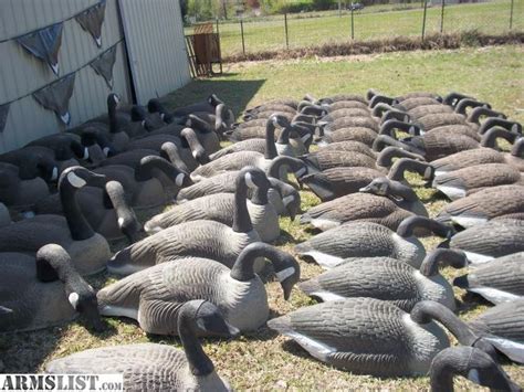 ARMSLIST - For Sale/Trade: LARGE SPREAD OF GOOSE DECOYS