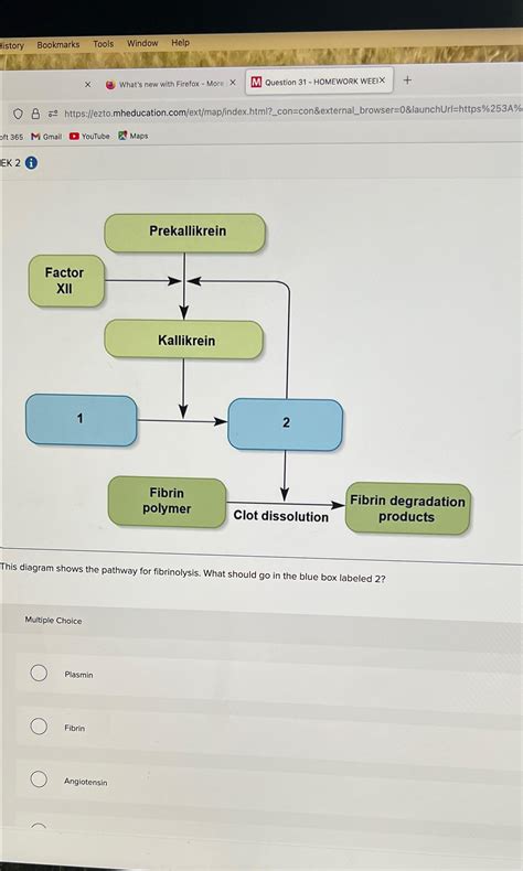 Solved This diagram shows the pathway for fibrinolysis. What | Chegg.com