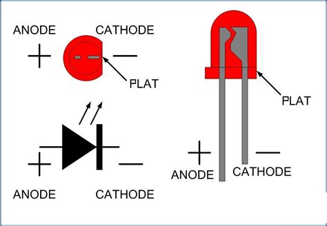 Led diode anode cathode - boHopX