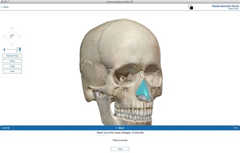 Human Anatomy Atlas (Mac) - Download, Review, Screenshots