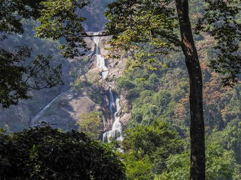 Kovai Kutralam Waterfalls - Roaming Owls