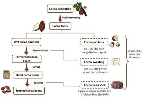 Antioxidants | Free Full-Text | Cocoa Bean Shell: A By-Product with ...