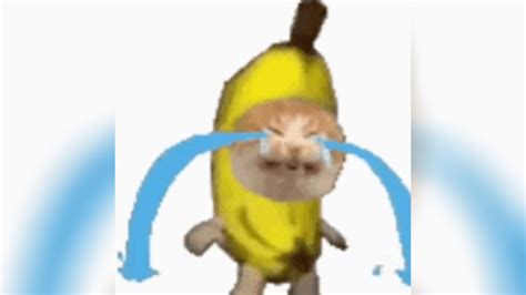 Sad Banana Cat | Know Your Meme