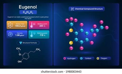 Eugenol Properties Chemical Compound Structure Stock Vector (Royalty ...