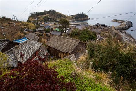 Japan's cat island: A visit to Aoshima, where cats outnumber people by ...