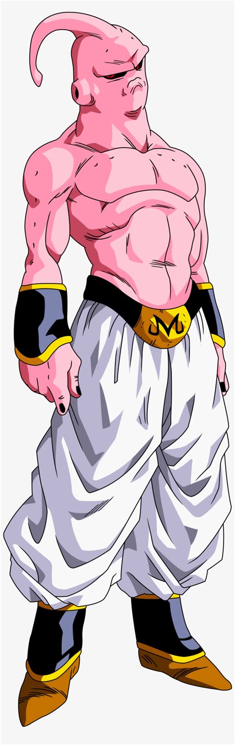 Dragon Ball Z Majin Buu Forms