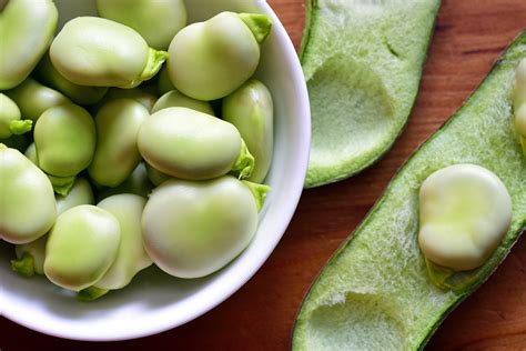 10 Impressive Health Benefits of Fava Beans