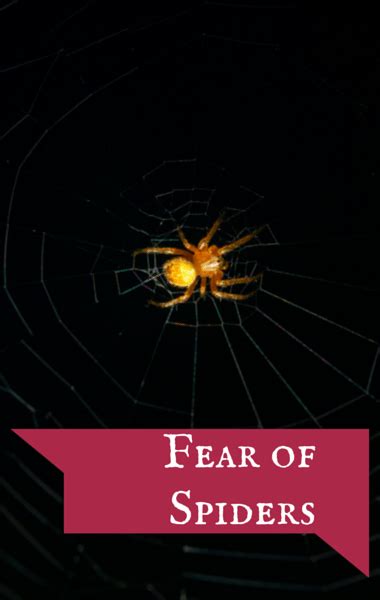 Dr. Oz: How to Face Your Chronic Fears & Overcome Fear of Spiders