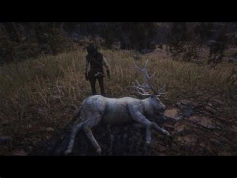 Hunting the legendary Wapiti -RDR2- - YouTube