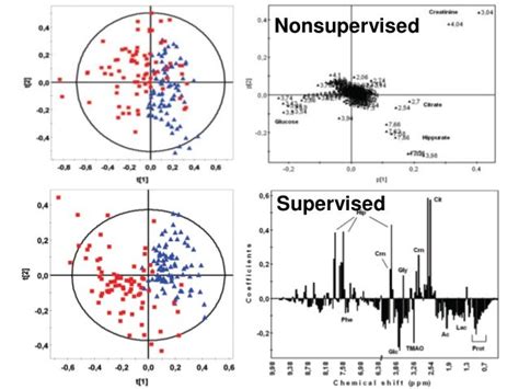 Metabolomics Data Analysis