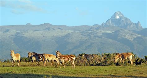 Mount Kenya National Park - Maasai Mara National Reserve