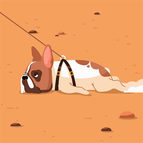 Walking My Dog - Animated Gif :: Behance