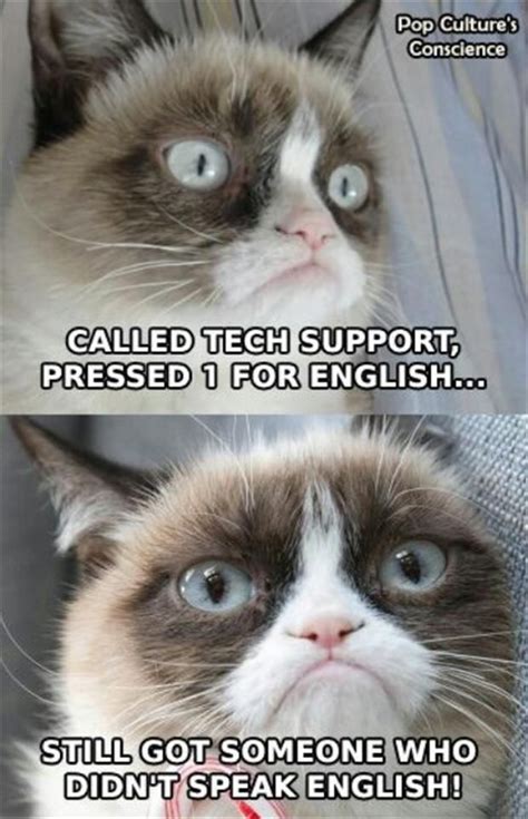 Grumpy Cat Pictures With Captions | grumpy cat, tech support | Grumpy ...