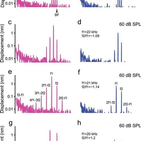 Magnitude spectra of reticular lamina (RL) and basilar membrane (BM ...