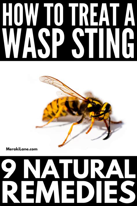 9 Wasp Sting Remedies to Reduce Pain and Swelling