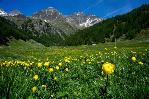 Trekking and Hiking in Aosta Valley - Trekking Alps