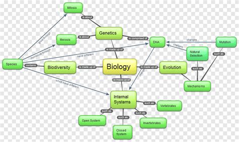 Biological Molecules Concept Map