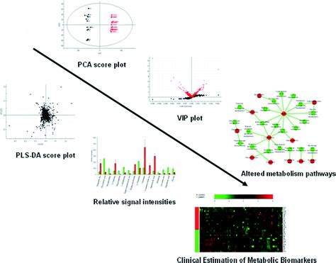 Emerging role and recent applications of metabolomics biomarkers in ...