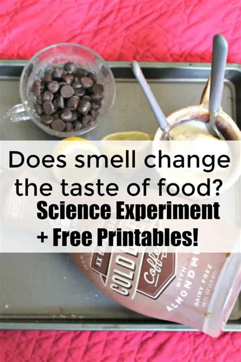 Smell Science Experiment