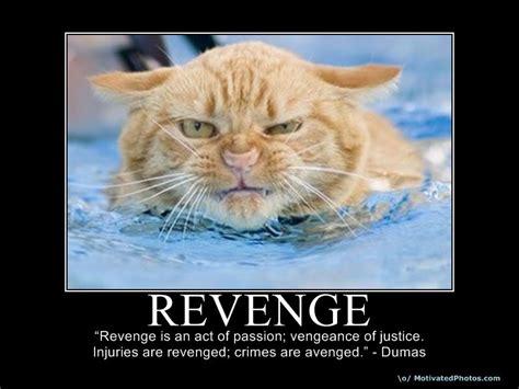 Funny Revenge Quotes Sayings. QuotesGram