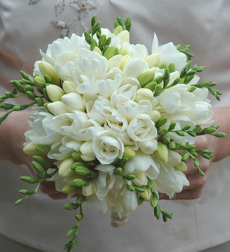 white freesia bouquet | Flower bouquet wedding, Freesia bouquet ...