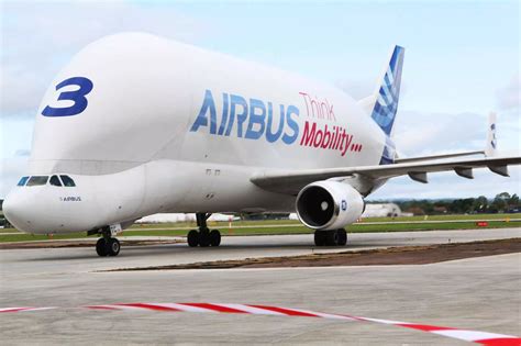 beluga airbus - North Wales Live