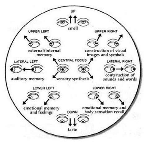 This simple guide to eye movement body language gives you clues to how ...