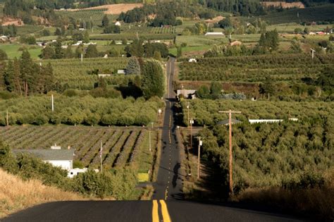 A Foodie's Guide to the Hood River Fruit Loop - Savored Journeys