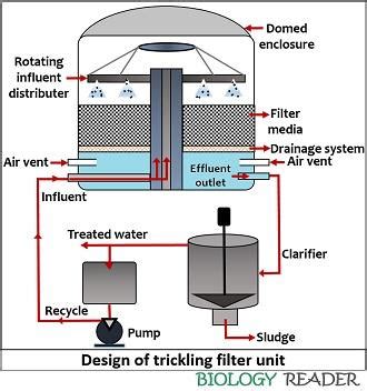 Trickling Filter Process - Definition, Operation, Design & Types ...